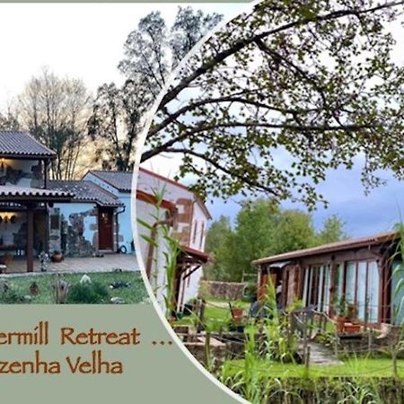 The Old Watermill Retreat - O Retiro Da Azenha Velha Apartment Vila Nova de Poiares Exterior photo