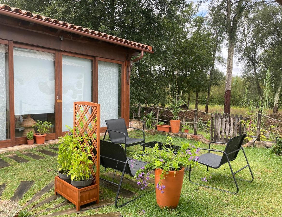 The Old Watermill Retreat - O Retiro Da Azenha Velha Apartment Vila Nova de Poiares Exterior photo