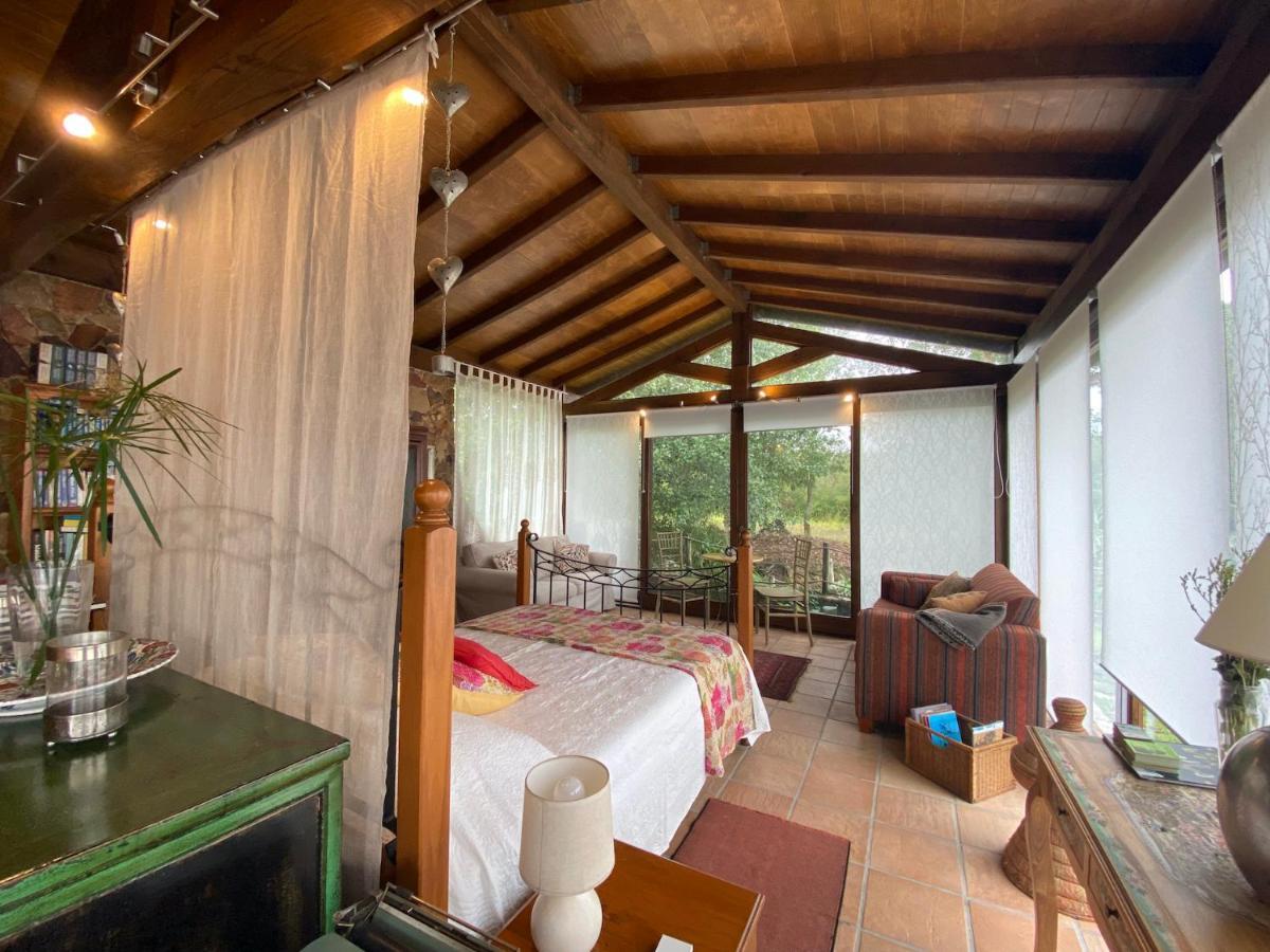 The Old Watermill Retreat - O Retiro Da Azenha Velha Apartment Vila Nova de Poiares Exterior photo
