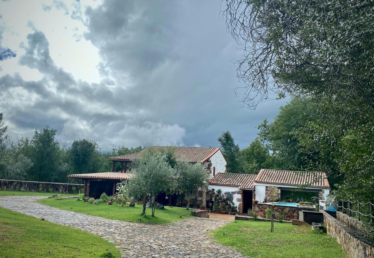 The Old Watermill Retreat - O Retiro Da Azenha Velha Apartment Vila Nova de Poiares Exterior photo