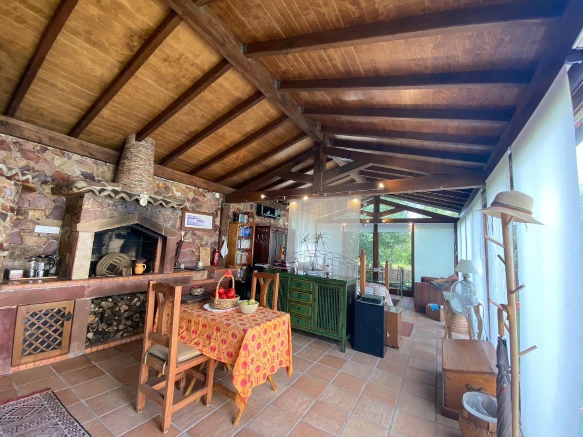 The Old Watermill Retreat - O Retiro Da Azenha Velha Apartment Vila Nova de Poiares Exterior photo