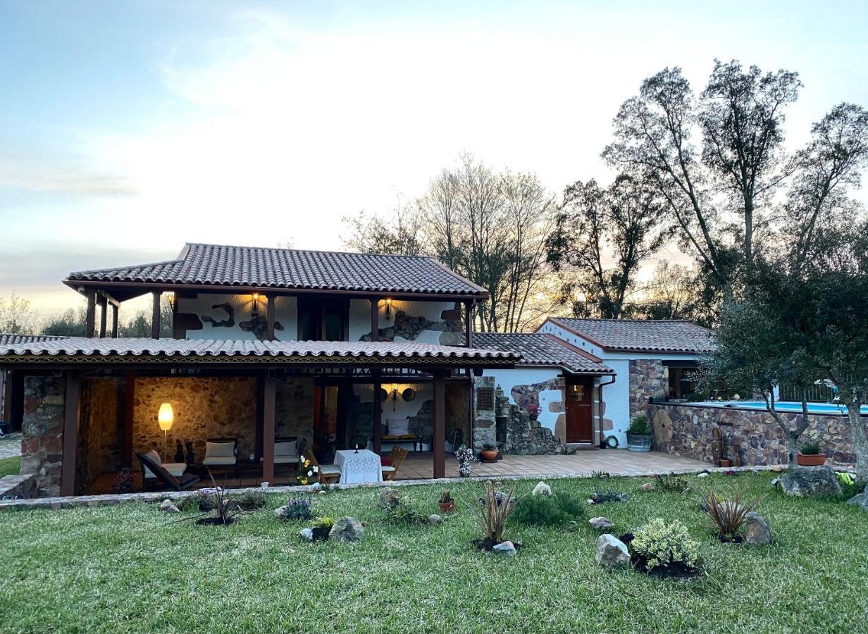 The Old Watermill Retreat - O Retiro Da Azenha Velha Apartment Vila Nova de Poiares Exterior photo